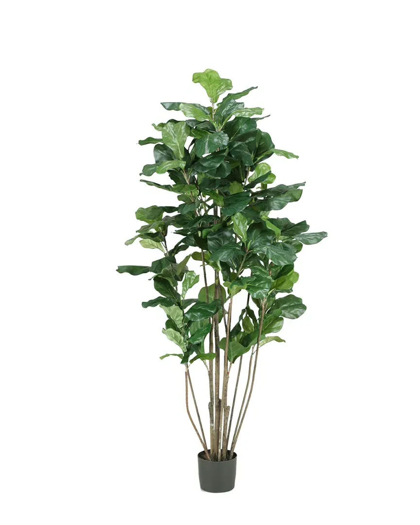 5ft Potted Fuddle Leaf Fig Tree - Green image