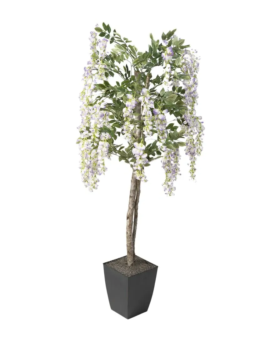 6ft Wisteria Tree in Square Planter - Purple image