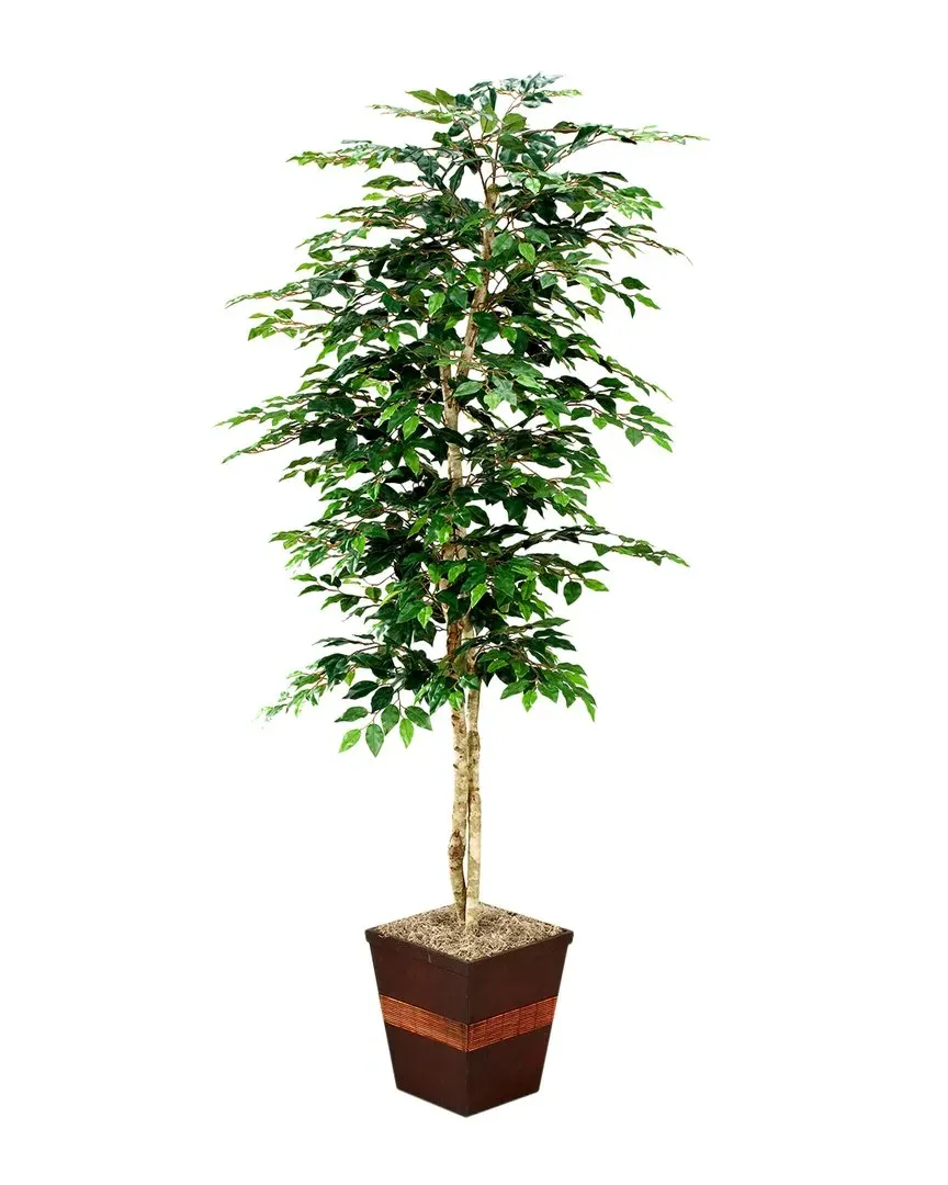 7ft Ficus Tree in Square Metal Planter - Green image