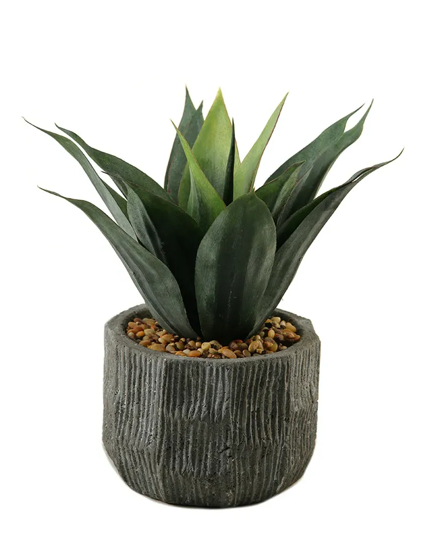 Agave Plant in Ceramic Planter - Green image