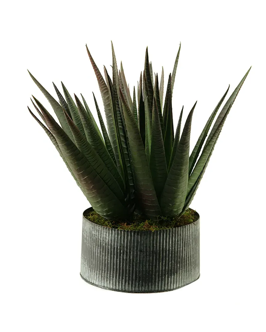 Agave Plant in Round Tin Planter - Green