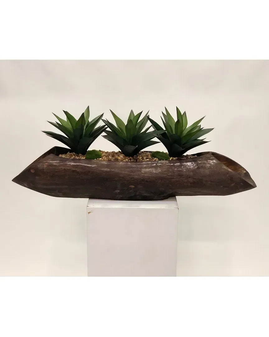 Aloe Plants in Wooden Log - Green image