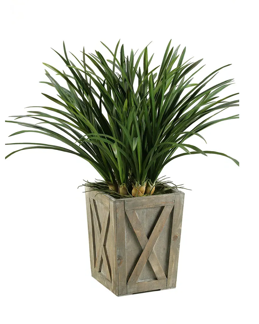 Areca Grass in Weathered Wooden Planter Box - Green