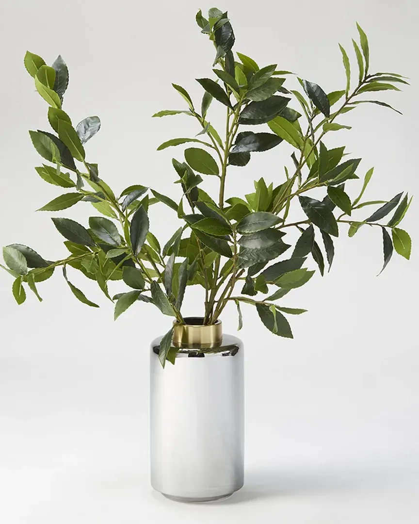 Bay Leaf Branches in Large Smoked Glass Vase image