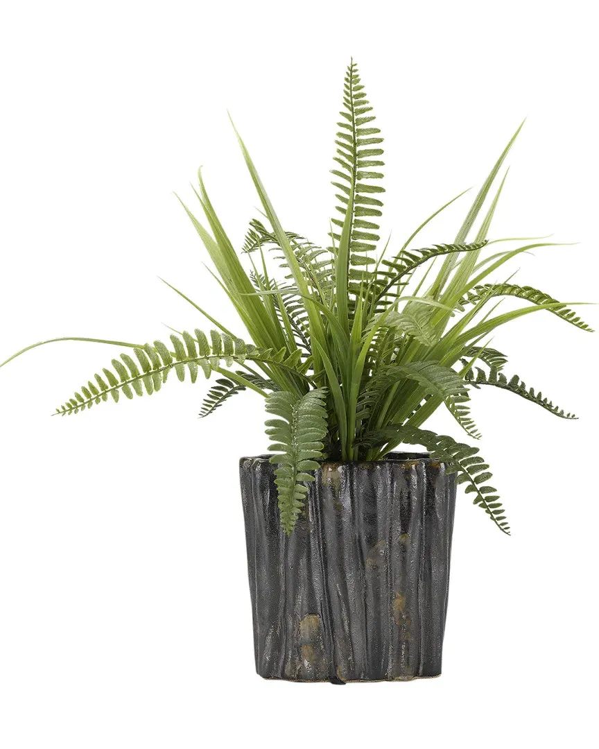 Boston Fern and Wild Grass in Oval Ceramic Planter image