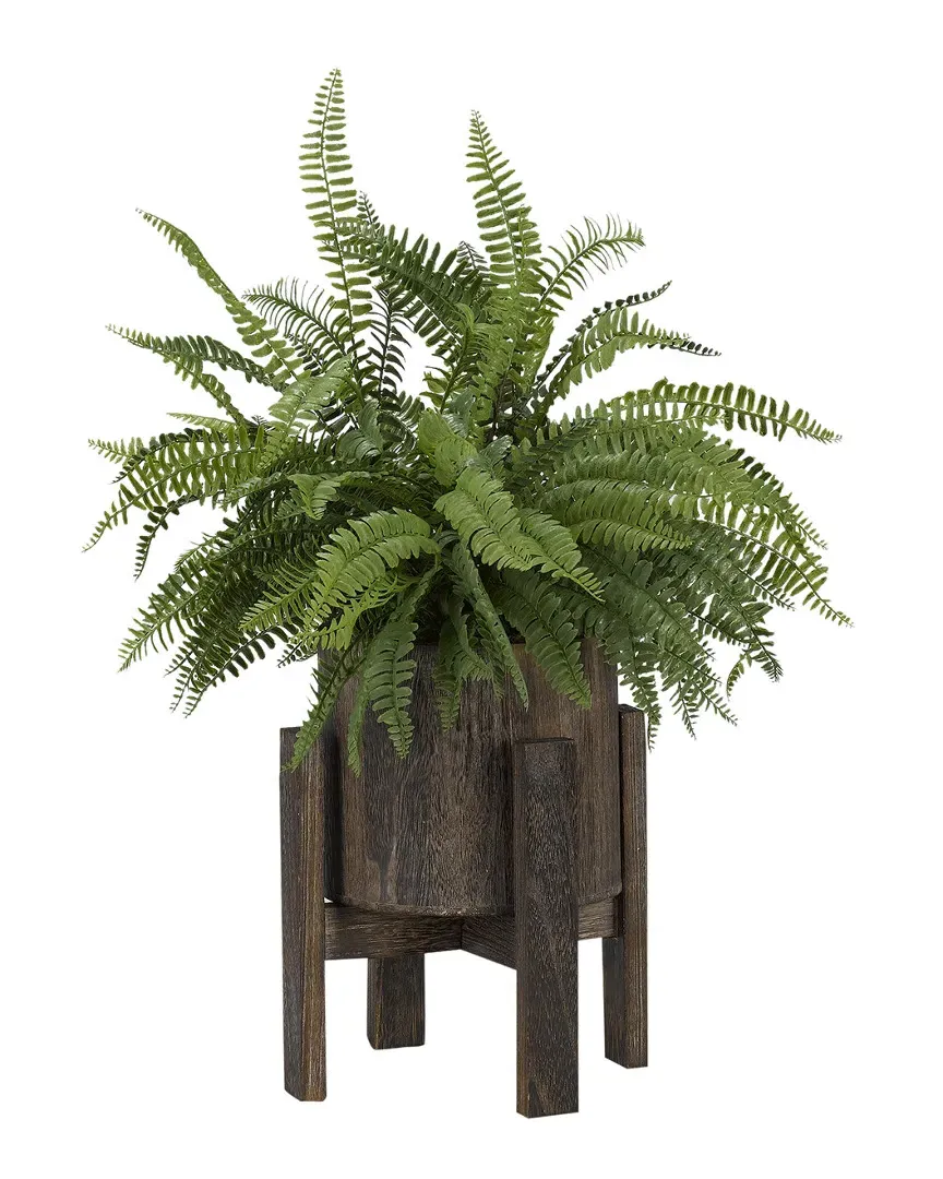 Boston Fern in Round Wooden Planter with Stand - Green