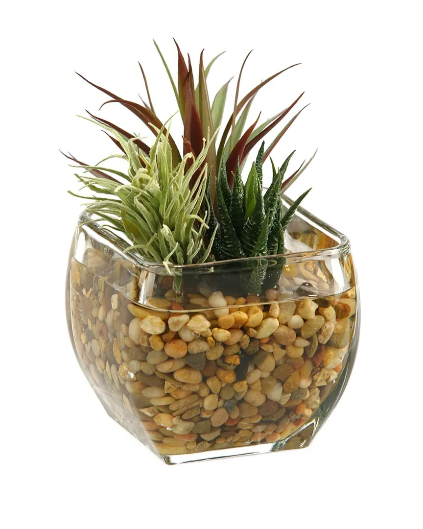 D&W Silks Aloe and Easter Grass in Glass Cube - Green image