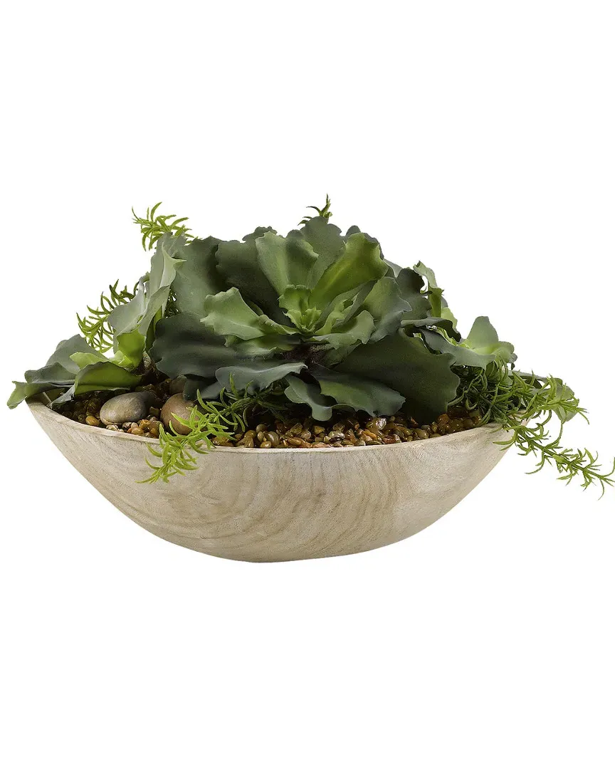 D&W Silks Large Ruffled Echeveria in Wooden Bowl - Green image