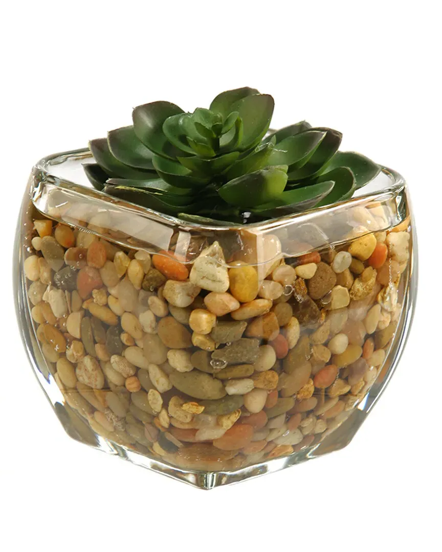 D&W Silks Small Echeveria in Glass Cube - Green image