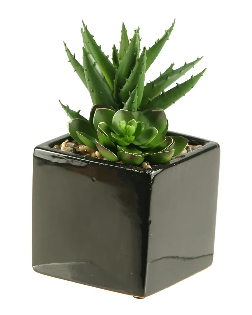 Echeveria and Aloe Square Ceramic Planter - Green image