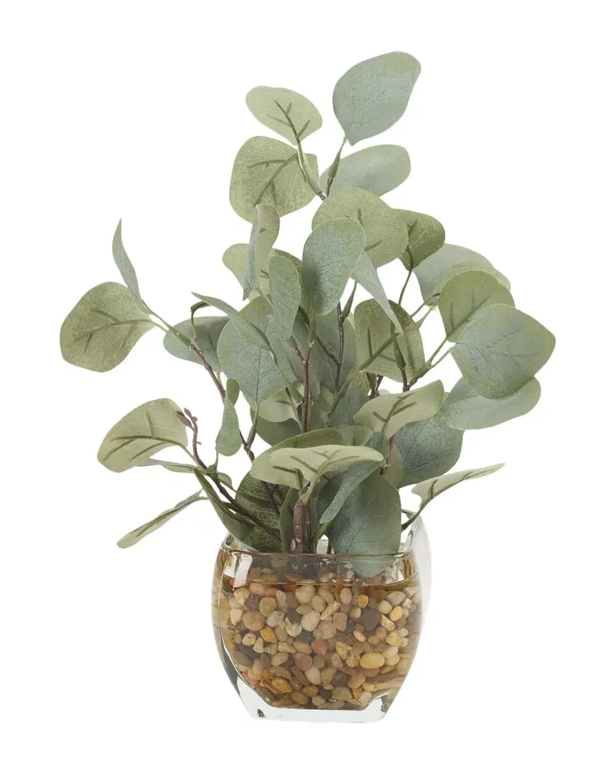 Eucalyptus in Glass Cube - Green image