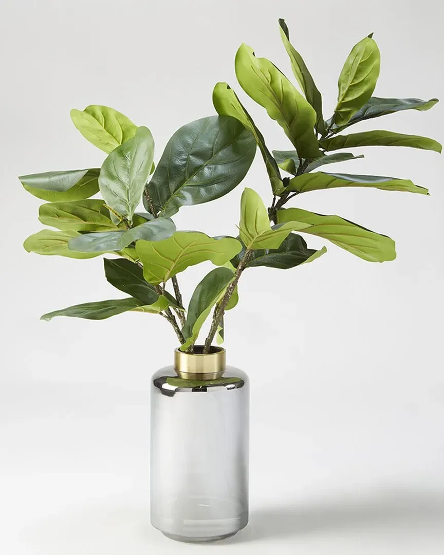Fiddle Leaf Fig Branches in Tall Glass Vase - Smoked Glass
