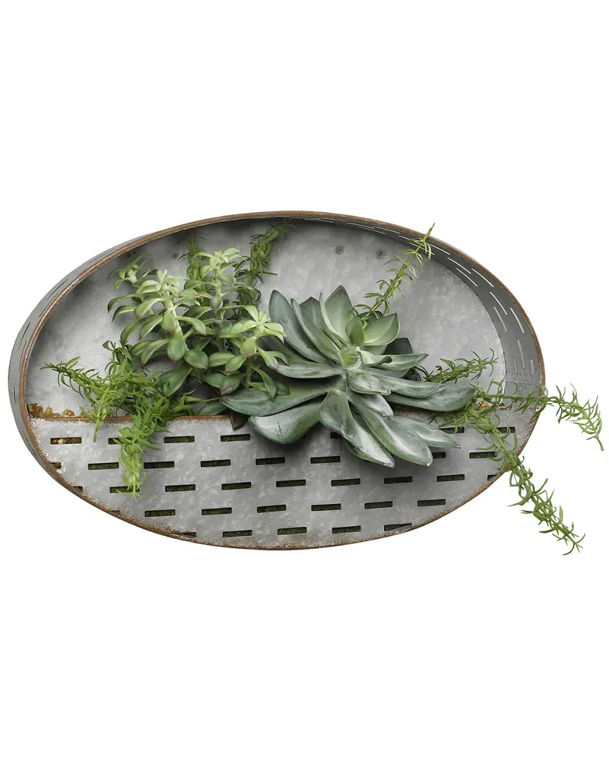 Frosted Echeveria Oval Wall Sconce - Green, Metal image