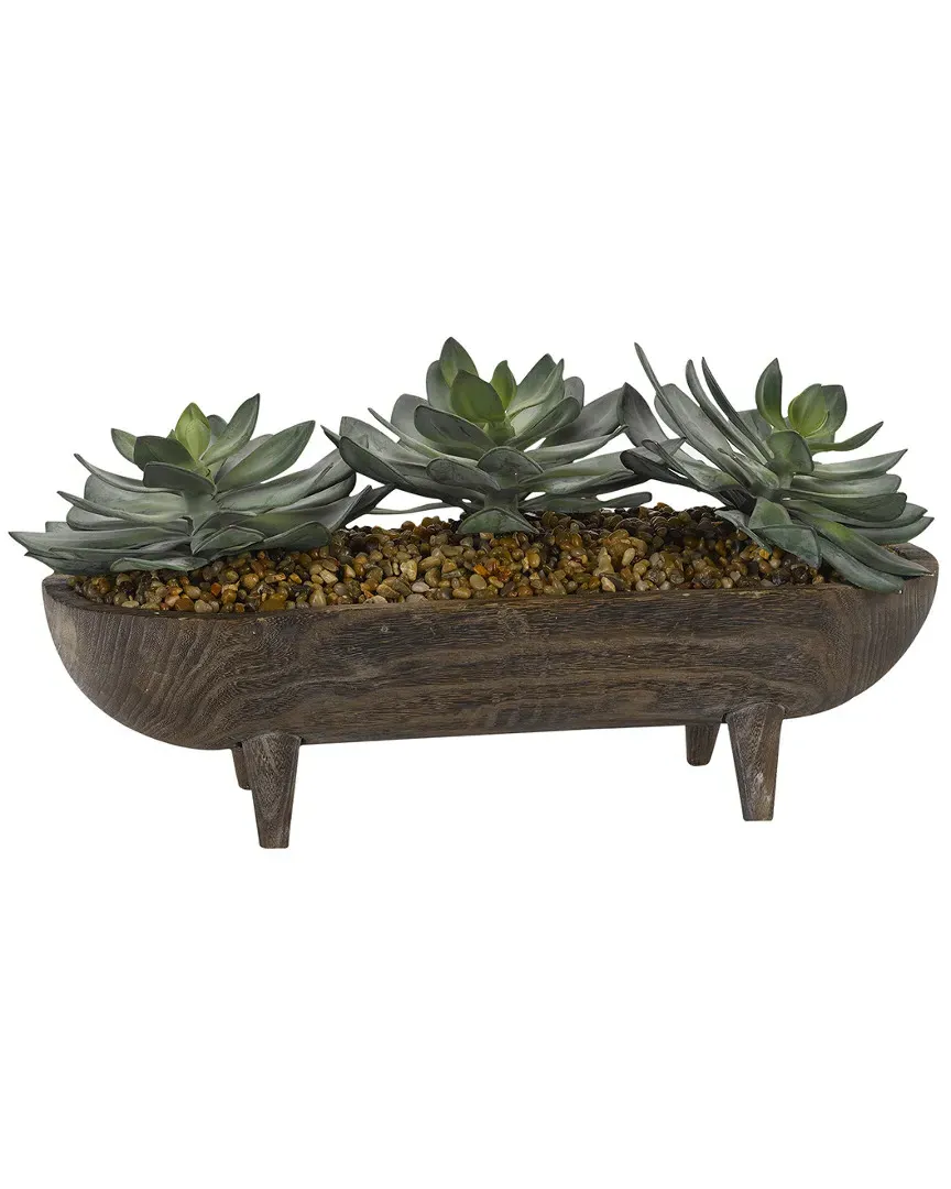 Frosted Green Echeveria in Wooden Dough Bowl - Green, Wood