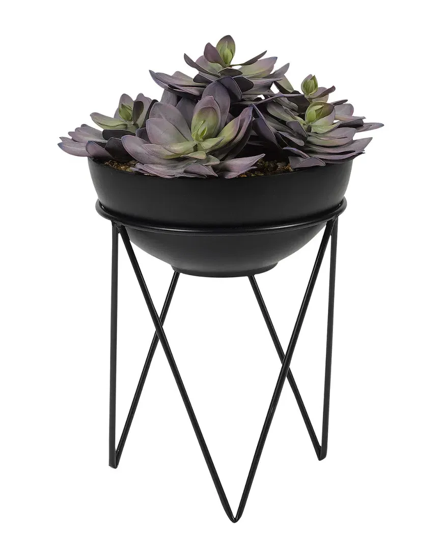 Frosted Pink Echeveria in Black Resin Bowl with Metal Stand image