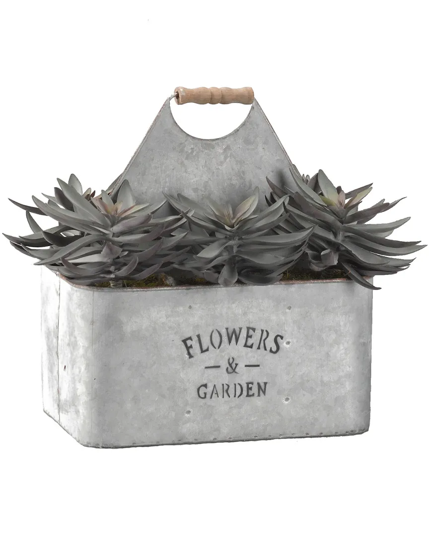 Frosted Purple Echeveria in Rectangle Metal Planter image