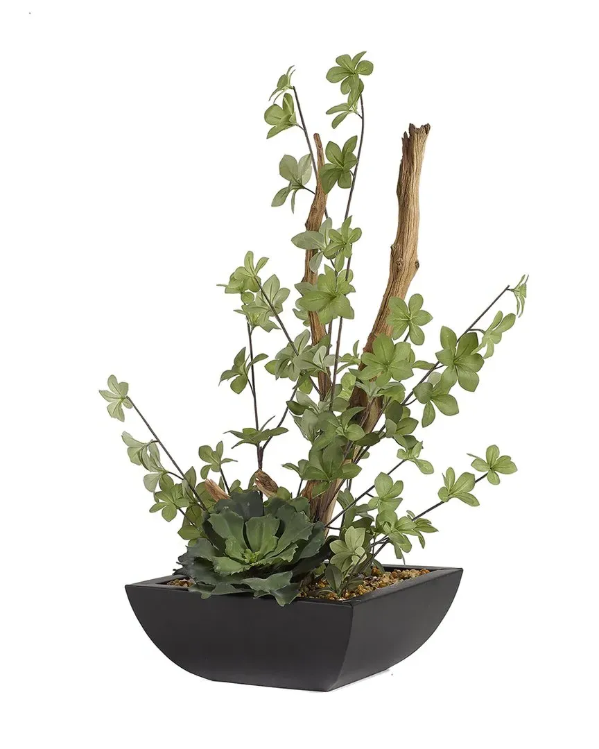Ghostwood Double Ruffle Echeveria Square Planter - Metal image