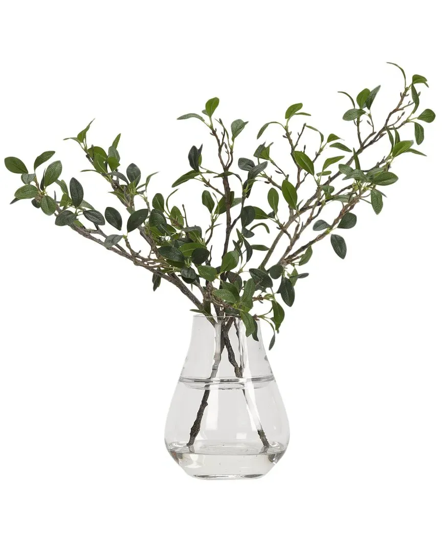 Green Leafy Branches in Glass Vase - Green image