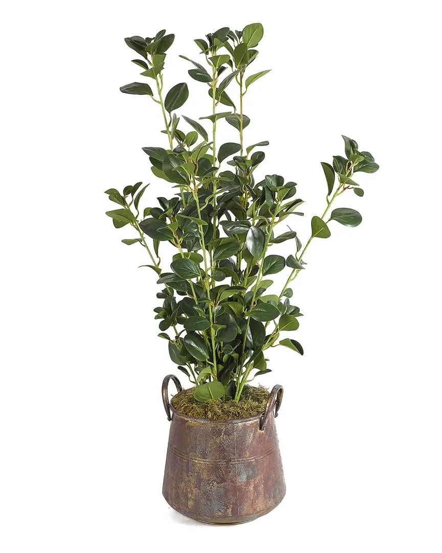 Inc Leafy Plant in Aged Copper Planter - 50in image
