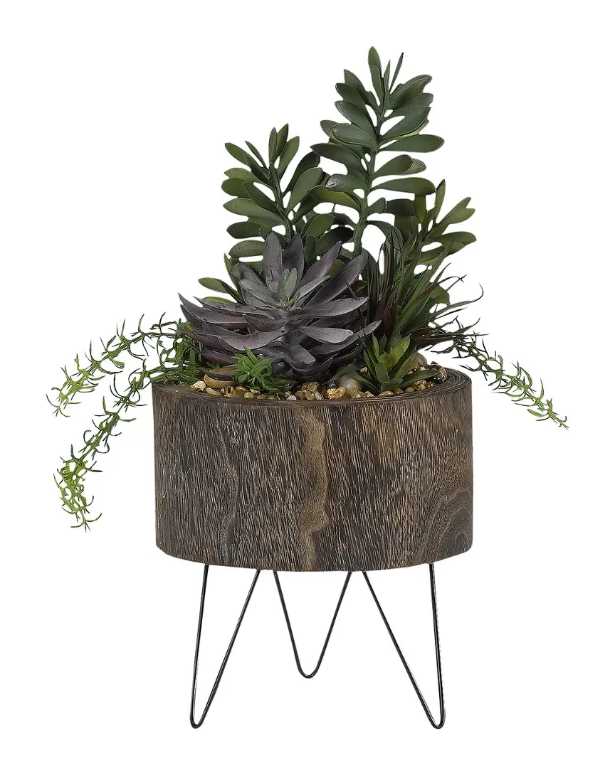 Jade Plant, Frosted Echeveria and Succulents in Round Wooden Planter image