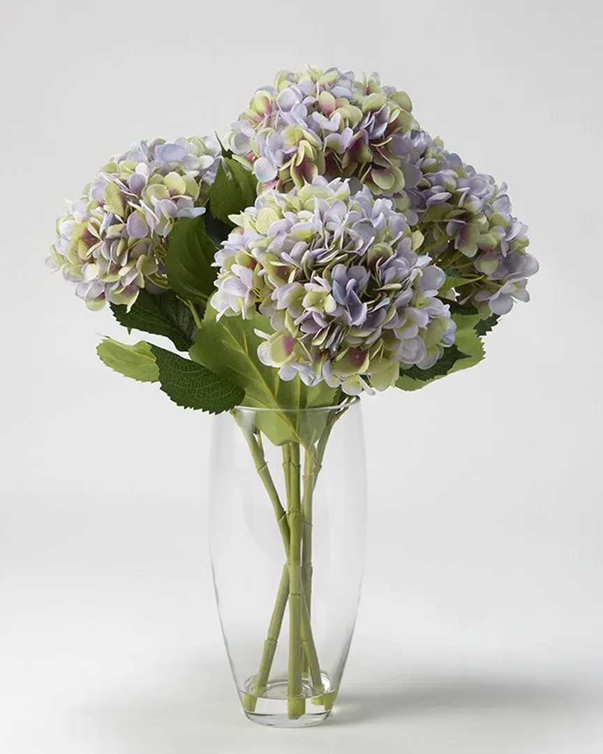 Lavender Hydrangeas in Glass Vase - Lavender, Glass
