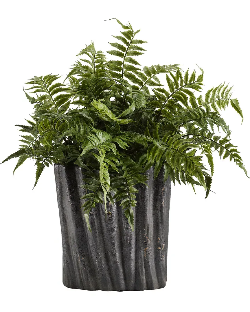 Leather Leaf Fern in Oval Ceramic Planter - Green image