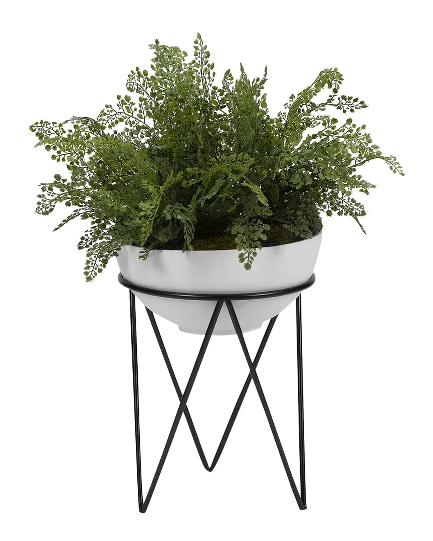 Maiden Hair Fern Bowl with Metal Stand - White