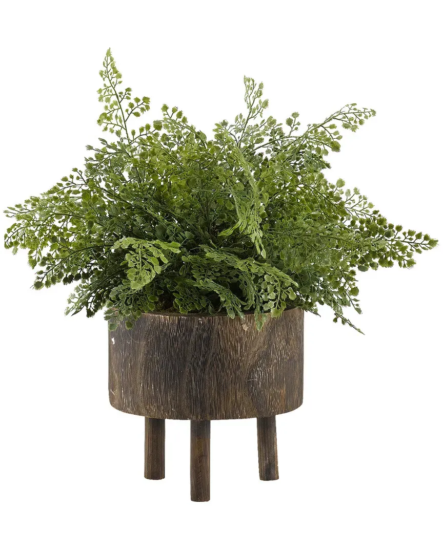 Maiden Hair Fern Round Planter - Green, Wood image