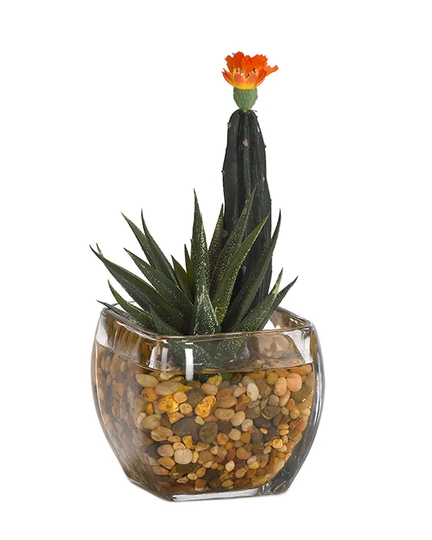 Mini Column Cactus and Aloe in Glass Cube - Green image