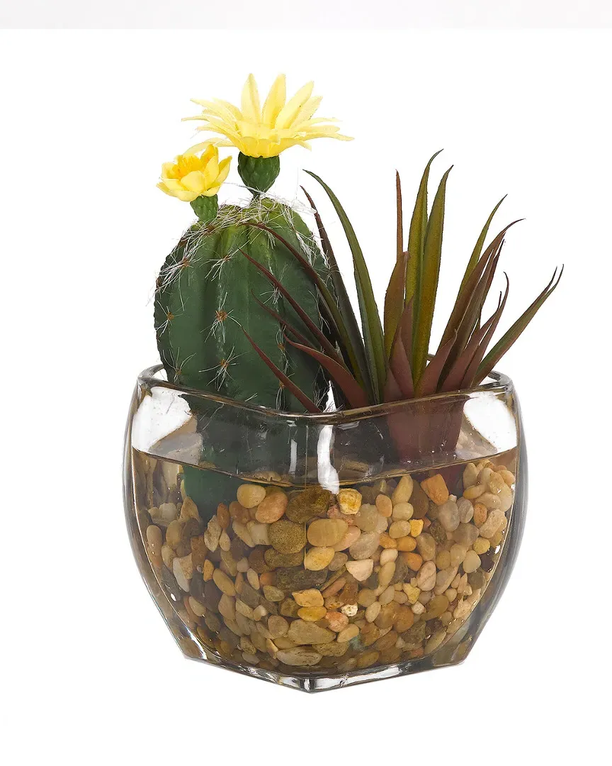 Mini Oval Cactus and Aloe in Glass Cube - Green