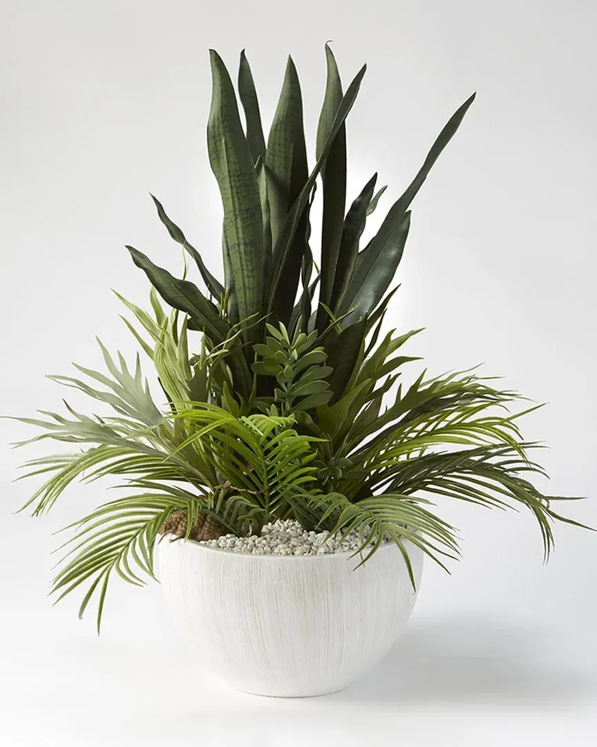 Mother in Law's Tongue Bowl with Palm Fronds - White, Ceramic