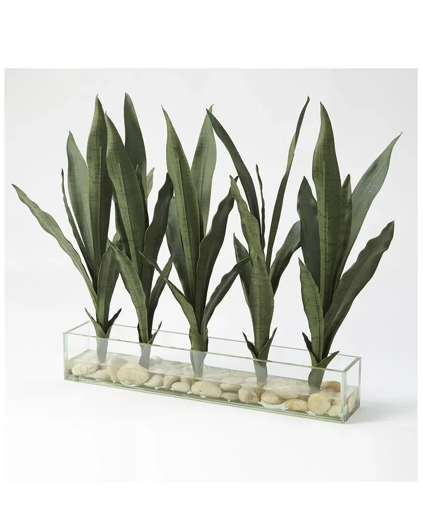 Mother in Law's Tongue Rectangle Planter - Glass