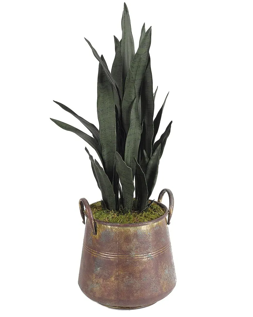 Mother in Law's Tongue Round Planter - Aged Copper