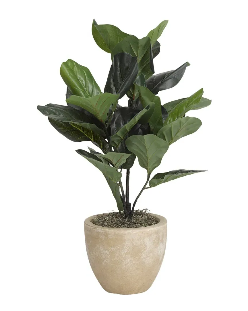 Natural Touch Fiddle Leaf Fig Plant in Round Planter - Green