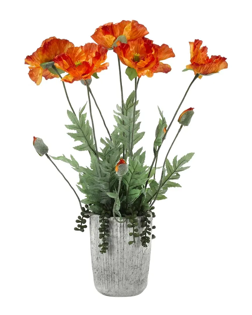 Orange Poppies in Concrete Planter - Orange image