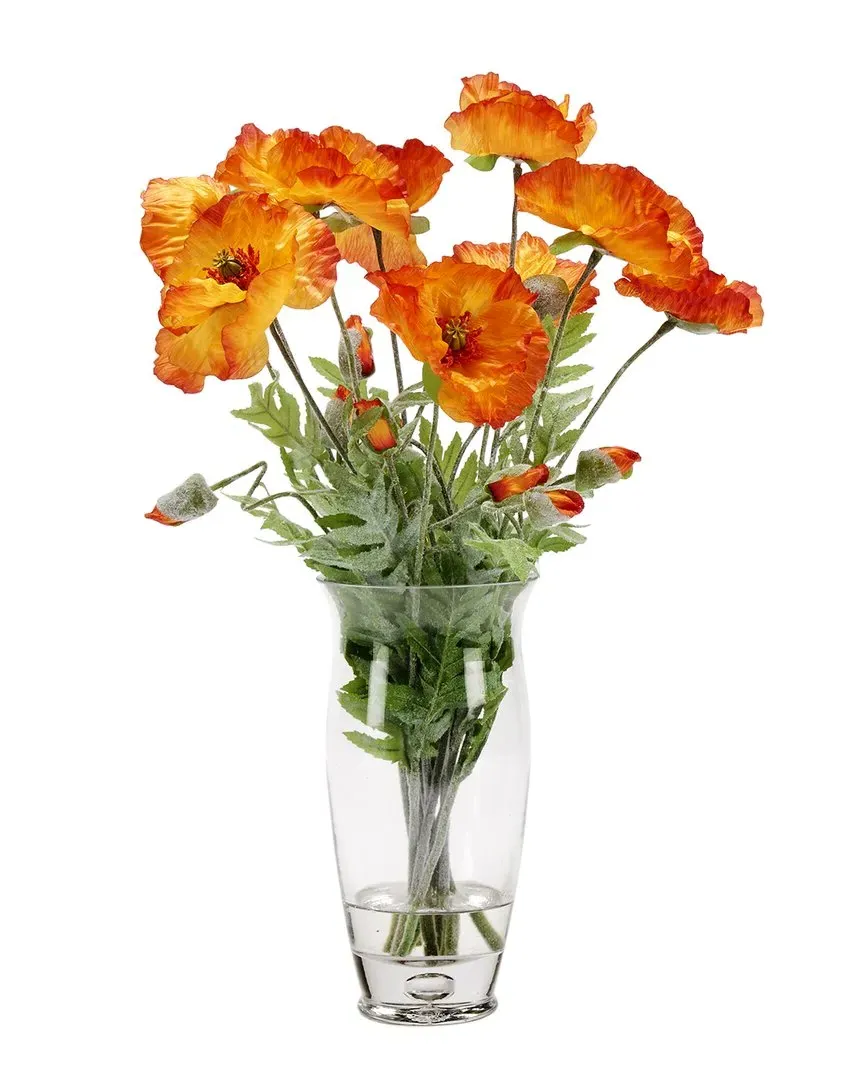 Orange Poppies in Glass Vase - Orange