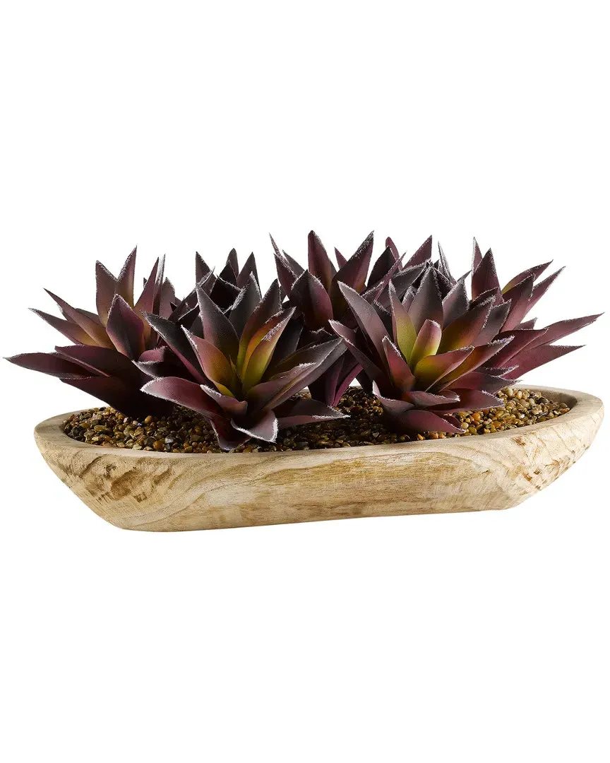 Oval Aloe Plant Arrangement - Purple/Green, Wood image