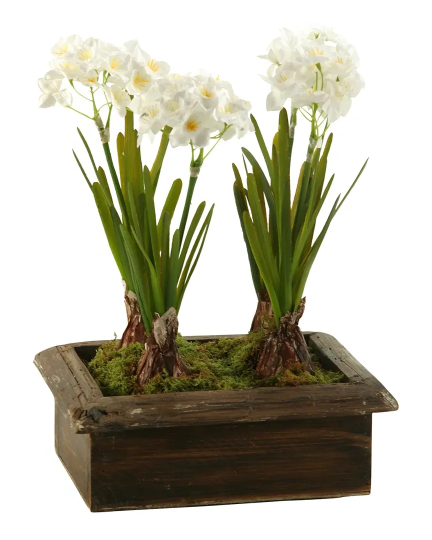 Paperwhites Rectangle Planter Box - Brown, Wood image