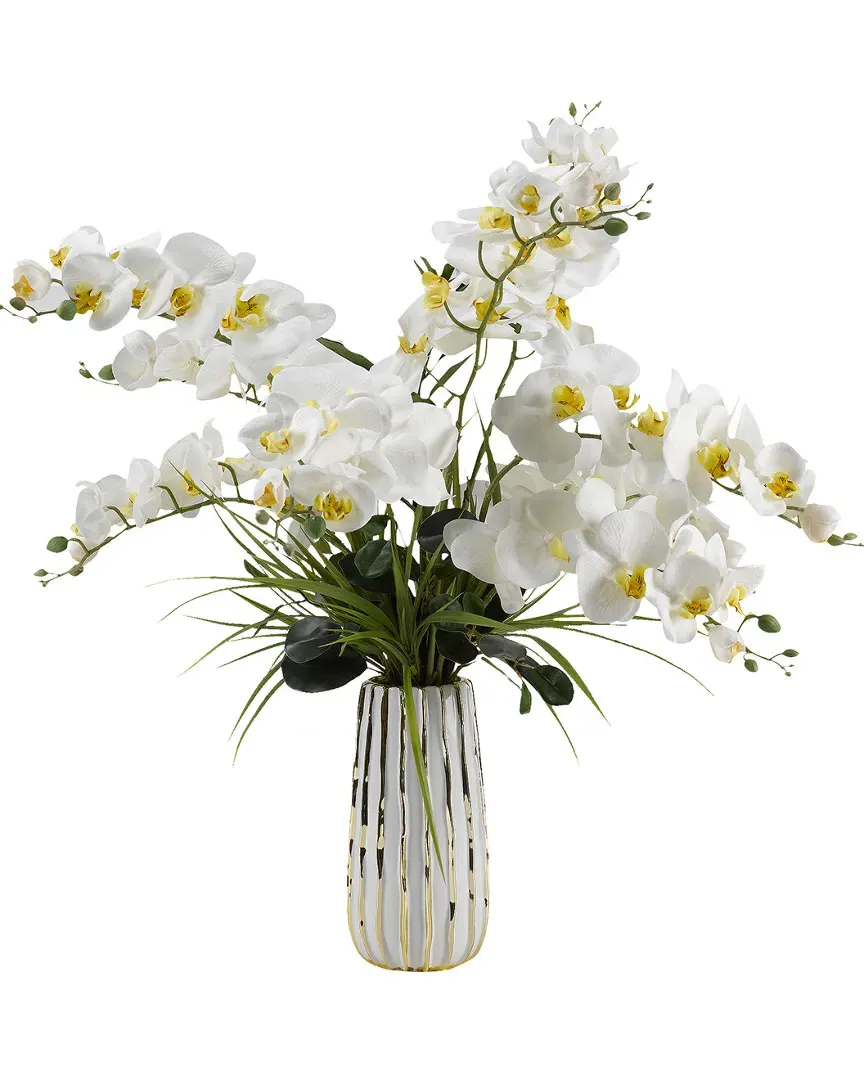 Phael Orchids in Ceramic Vase - Cream, Silk image