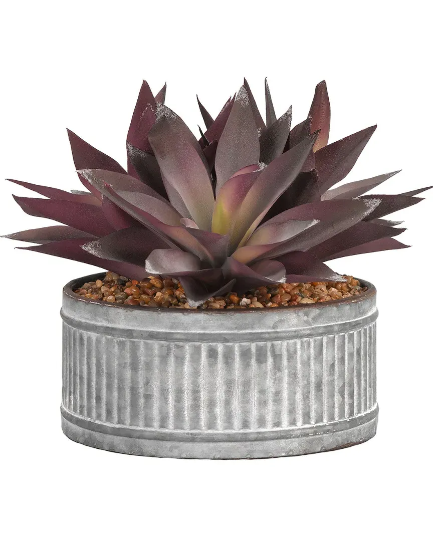 Purple Aloe Plants in Round Tin Planter - Multi-Color image