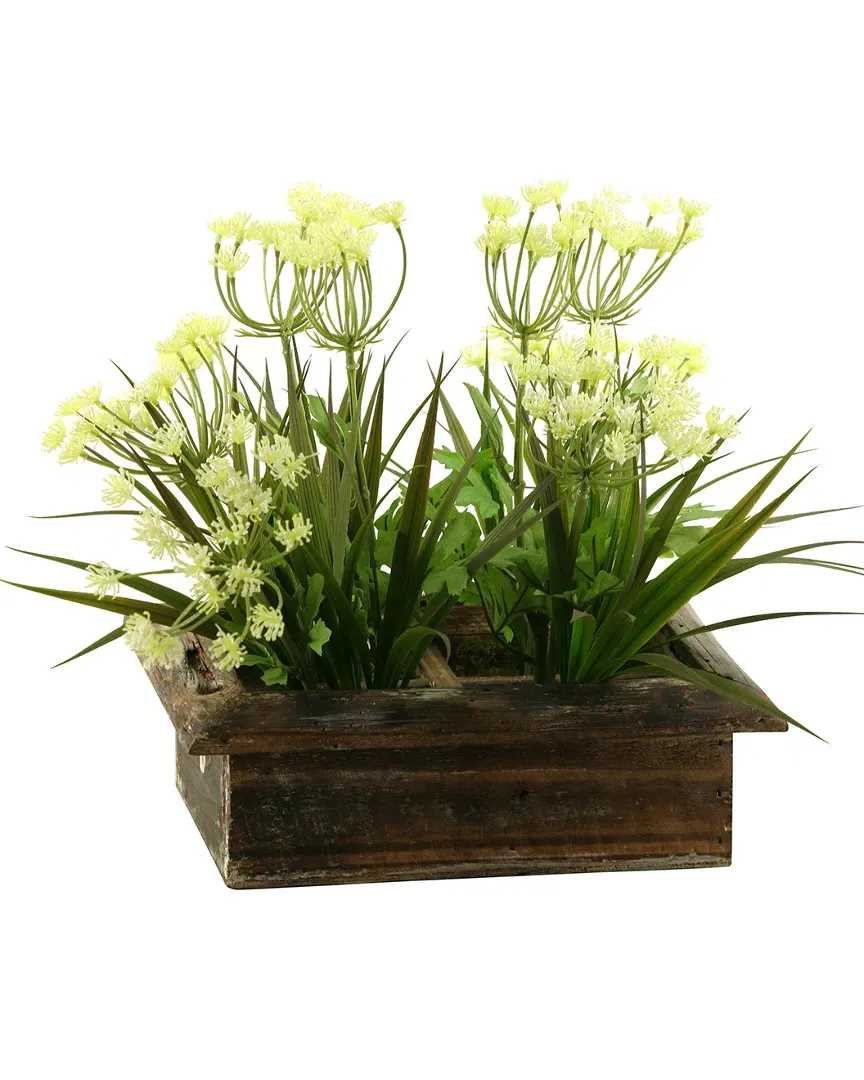Queen Anne's Lace Square Planter Box - Brown, Wood