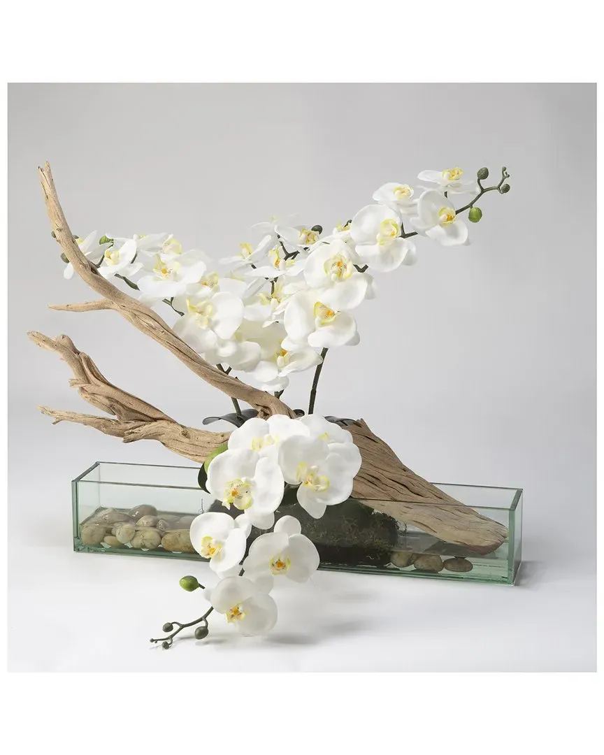 Rectangle Phael Orchids with Ghostwood - White, Glass
