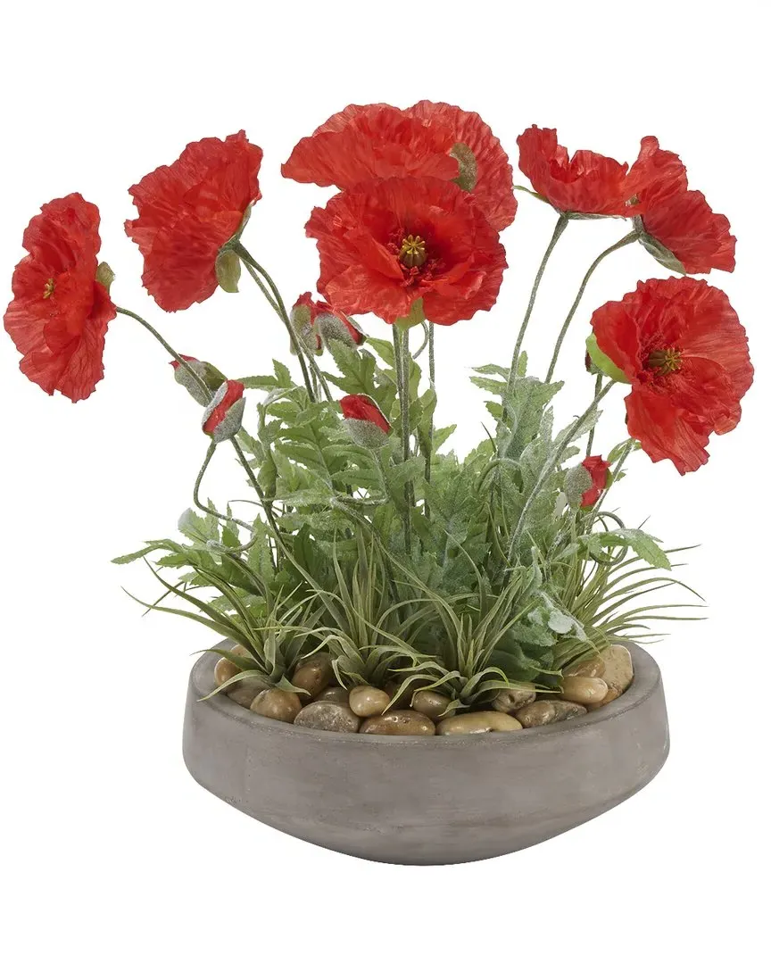 Red Poppies Round Cement Bowl Arrangement - Red image