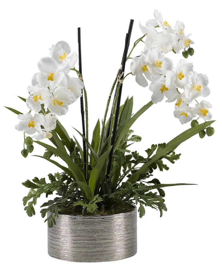 Round Orchids in Ceramic Bowl - Cream, Silk