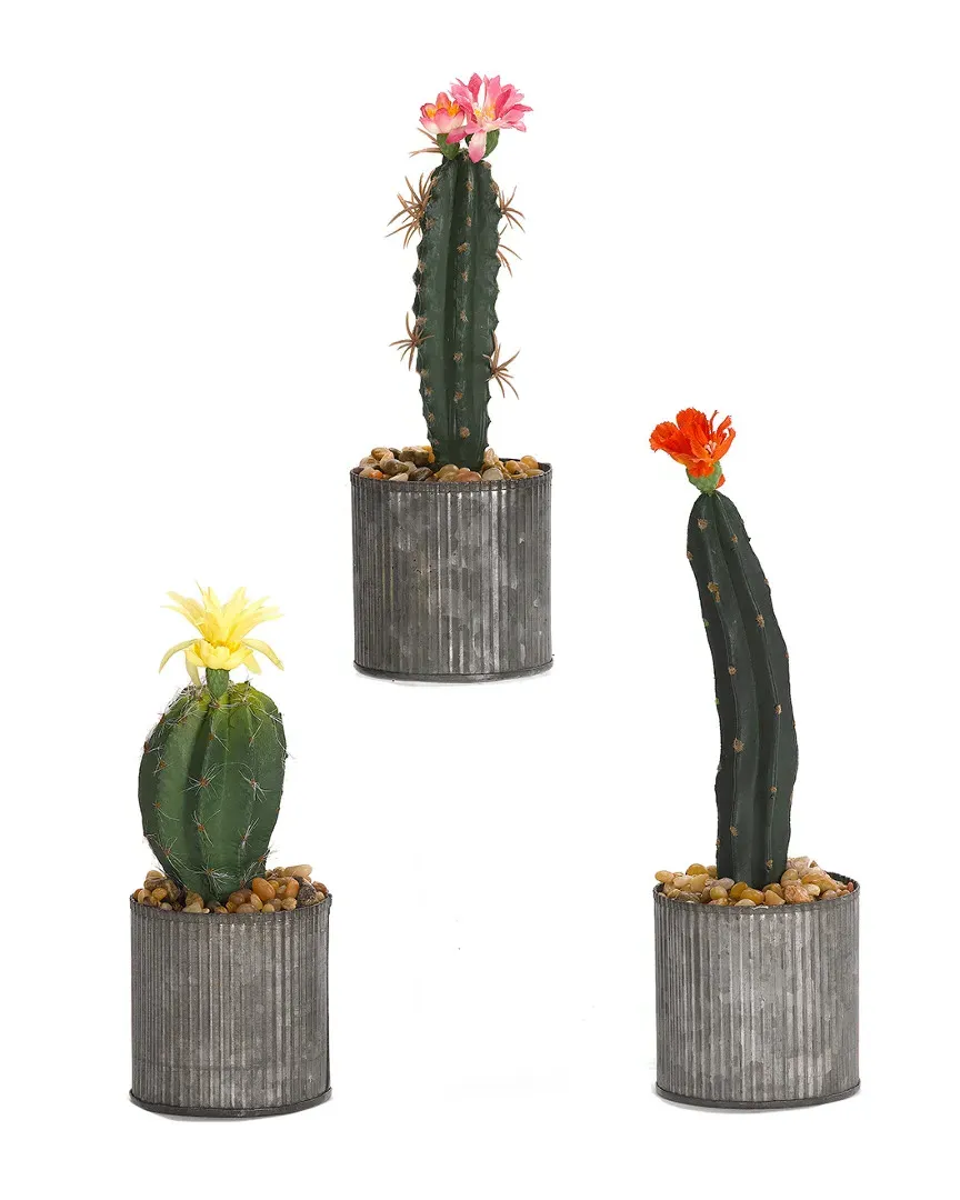 Set of 3 Cactus in Round Tin Planter - Green image