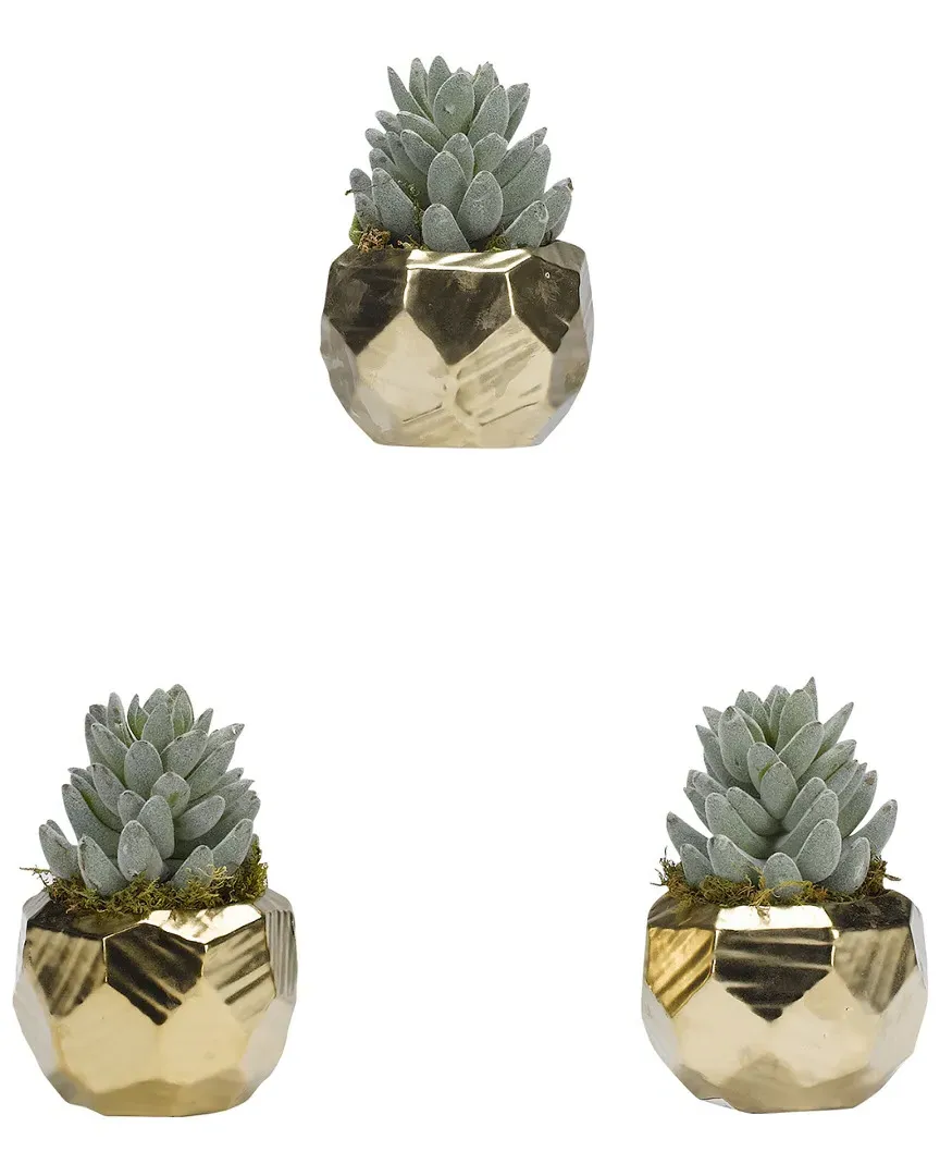 Set of 3 Flocked Aloe Planters - Gold, Ceramic image