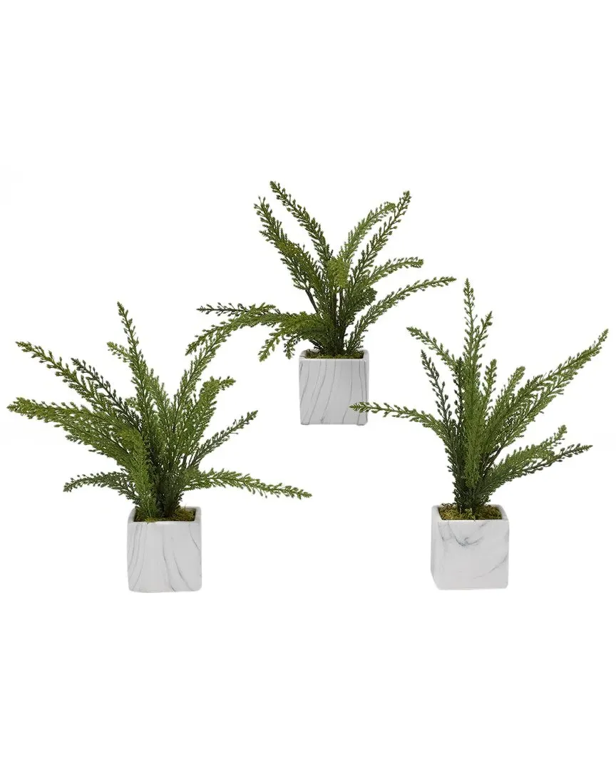 Set of 3 Heather Fern Ceramic Cubes - Green, Ceramic