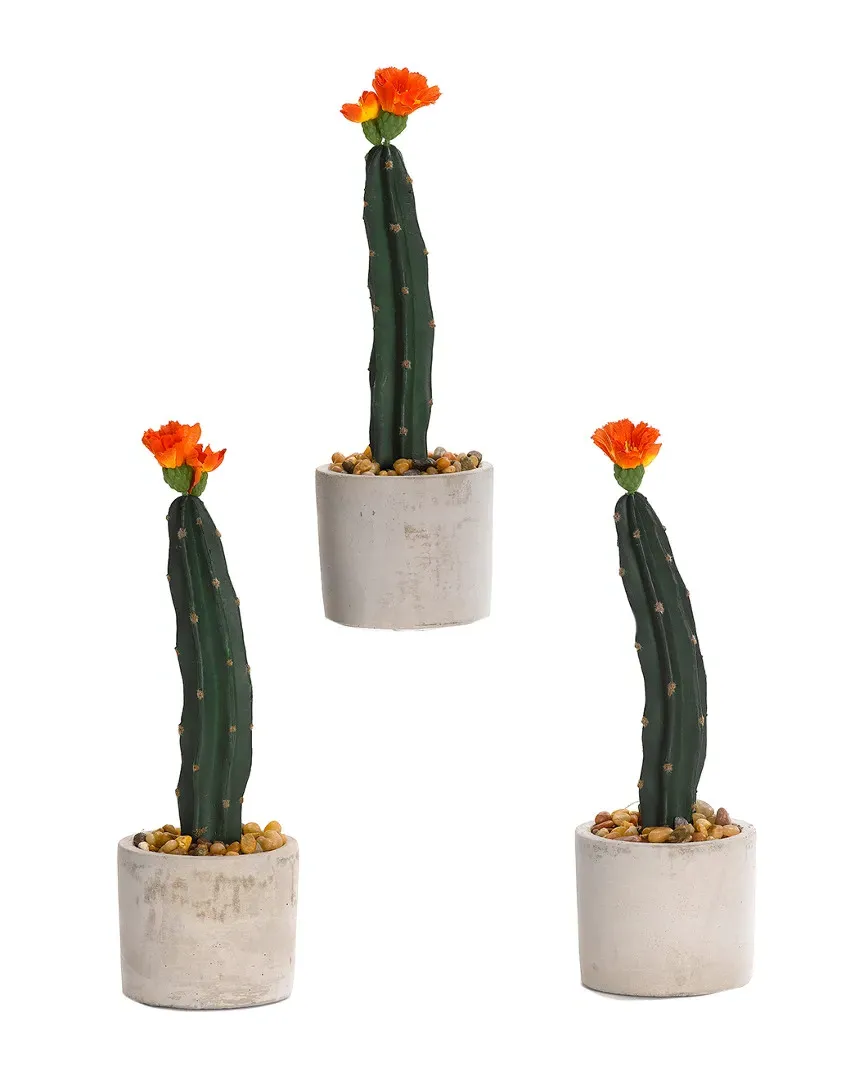 Set of 3 Mini Column Cactus in Round Cement Planter - Green image