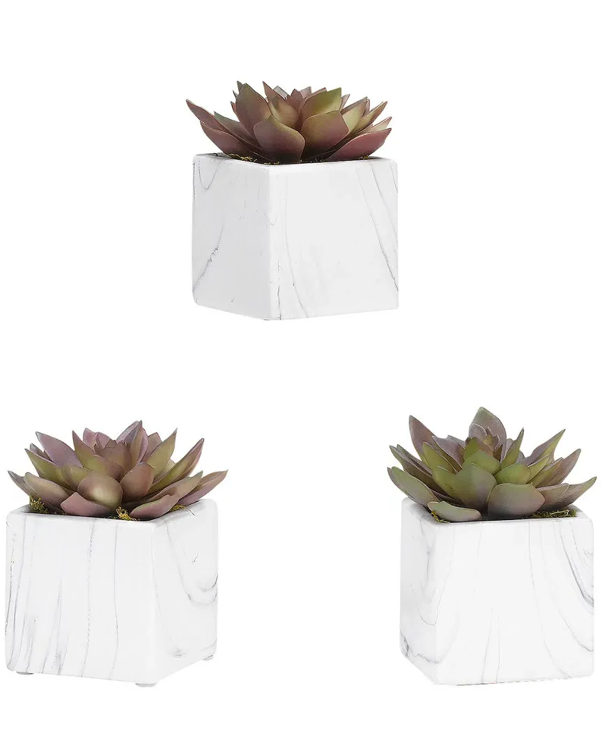 Set of 3 Rose Echeveria in Square Planters - White Marbled image