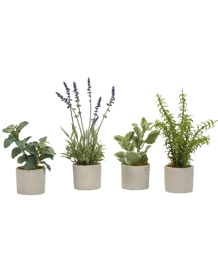 Set of 4 Herb Sprays in Cement Cylinders - Green